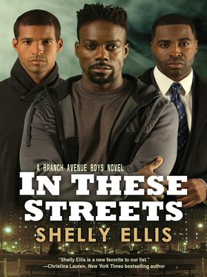 cover image of In These Streets